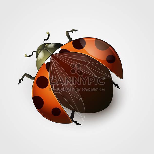 Vector illustration of red ladybug with black spots on white background - vector gratuit #125738 