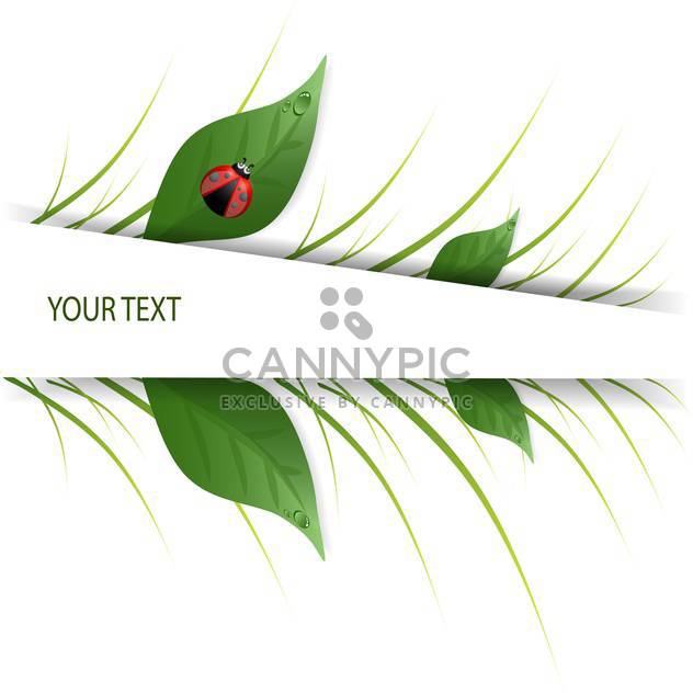 green leaves design with ladybug on white background and text place - vector gratuit #127928 