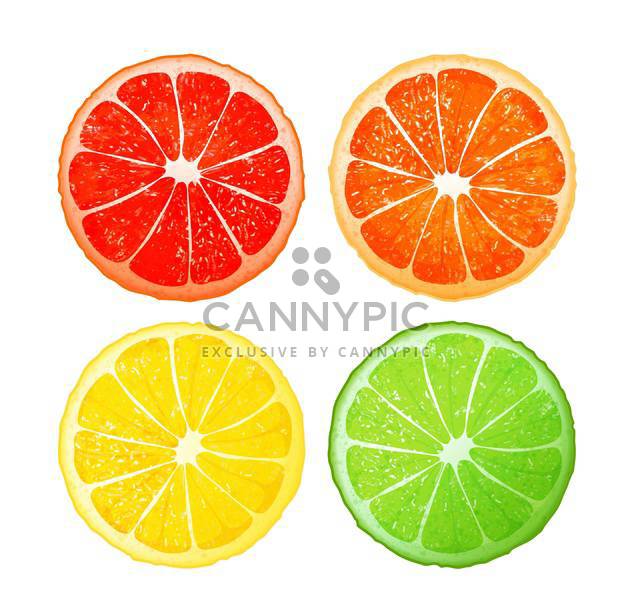 Citrus fruits set on white background - vector gratuit #130948 