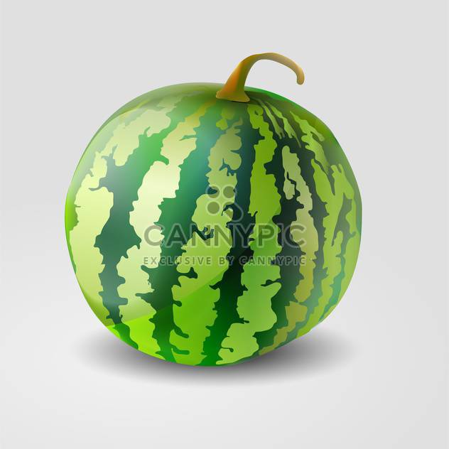 Vector illustration of green watermelon on grey background - Kostenloses vector #127338