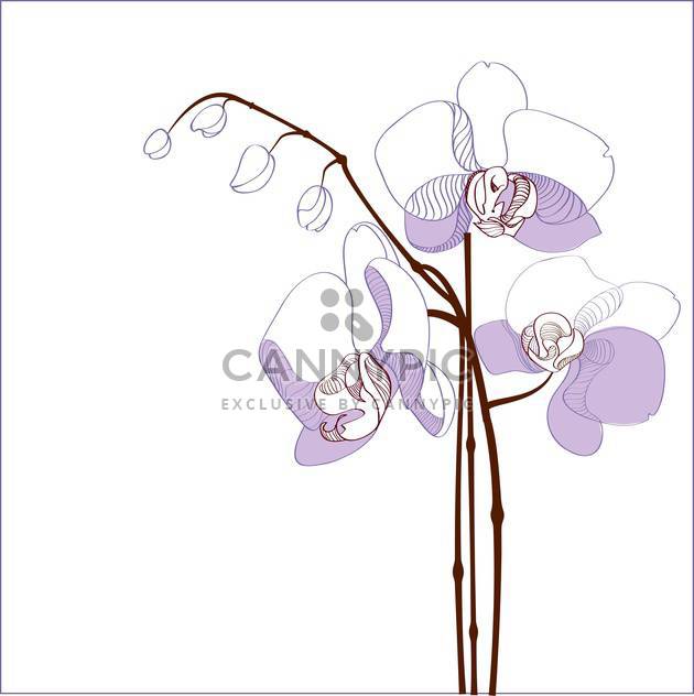 elegance branch of purple orchids on white background with text place - Free vector #127398