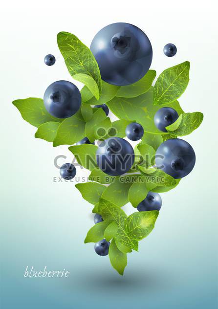 ripe summer blueberries with mint leaves - vector gratuit #130488 