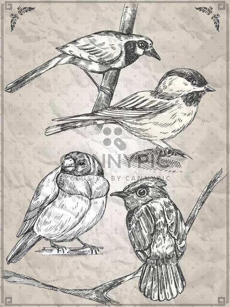 set of vector graphic birds illustration - vector #135258 gratis